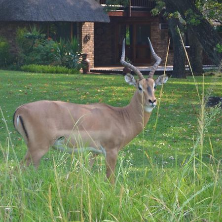 Kruger Park Lodge - Golf Safari Sa Hazyview Zewnętrze zdjęcie