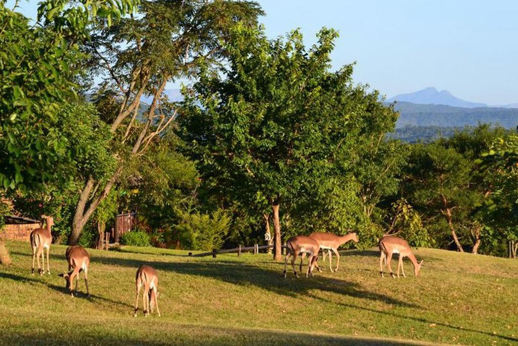 Kruger Park Lodge - Golf Safari Sa Hazyview Zewnętrze zdjęcie