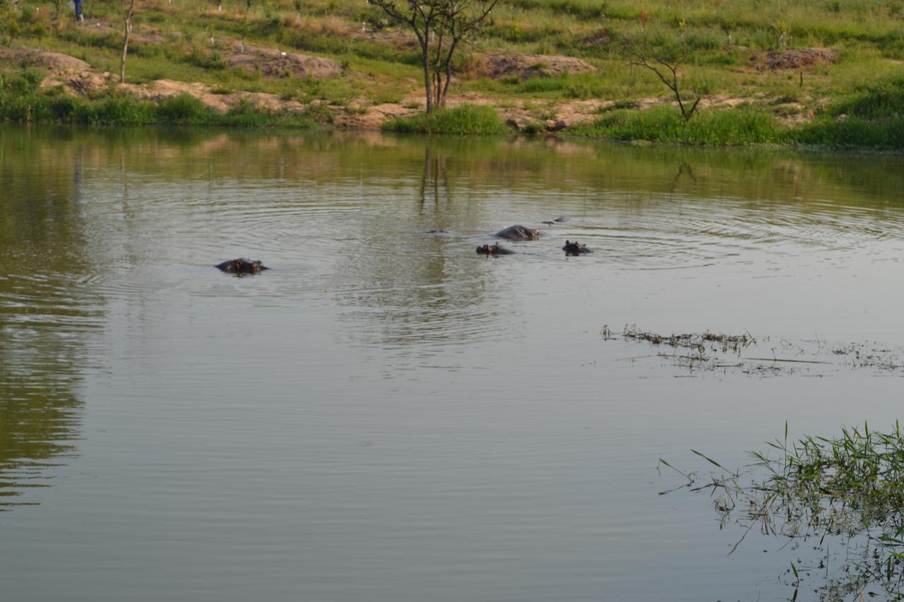 Kruger Park Lodge - Golf Safari Sa Hazyview Zewnętrze zdjęcie