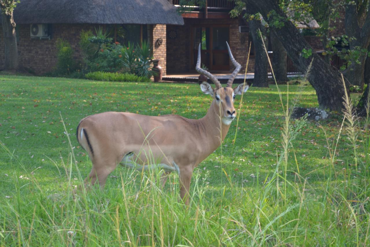 Kruger Park Lodge - Golf Safari Sa Hazyview Zewnętrze zdjęcie