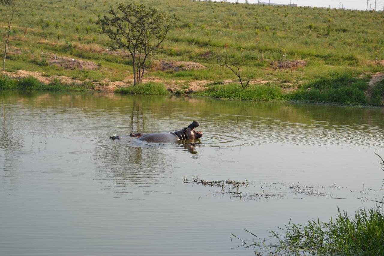 Kruger Park Lodge - Golf Safari Sa Hazyview Zewnętrze zdjęcie
