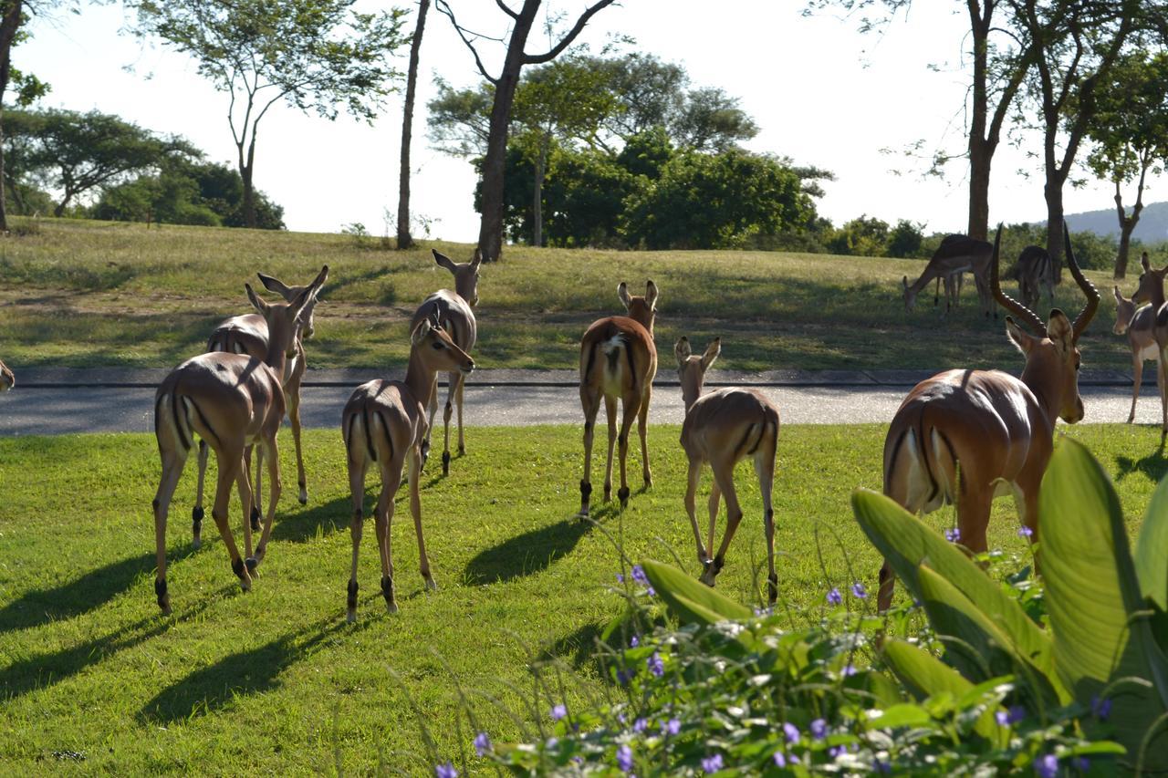 Kruger Park Lodge - Golf Safari Sa Hazyview Zewnętrze zdjęcie