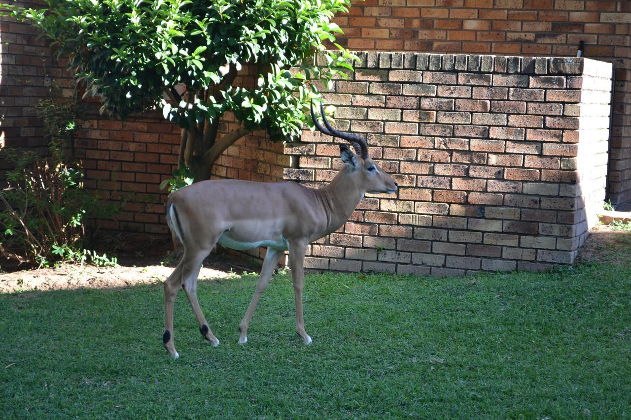 Kruger Park Lodge - Golf Safari Sa Hazyview Zewnętrze zdjęcie